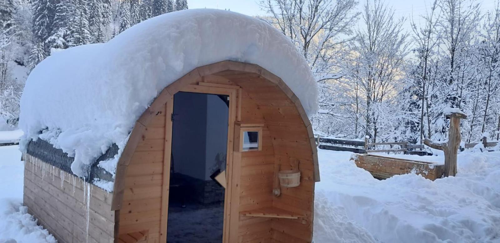 Riedlfeld Chalet Dienten am Hochkönig Dış mekan fotoğraf